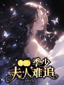 季少夫人已归来