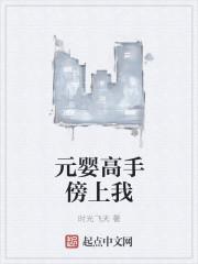 元婴武侠